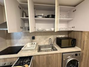 Marvelous 2BR - Free Beach Access and Pool Access In Mangroovy的厨房或小厨房