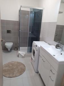 Gallery image of Star Apartment 4 in Komárom