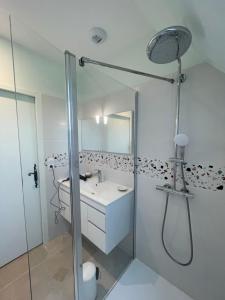 a white bathroom with a shower and a sink at Fermette Tourangelle in Bréhémont +44 photos