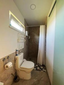 a small bathroom with a toilet and a shower at Cozy recreation area with a cabin in Šeduva