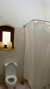 a bathroom with a toilet and a shower curtain at فيلا في قريه الصحفيين in El Alamein