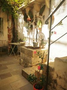 Zahrada ubytování Casa del Glicine Andrano