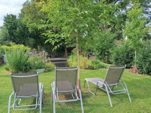 two chairs sitting in the grass in a garden at Villa Knoche in Arnsberg