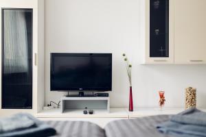 TV a/nebo společenská místnost v ubytování Apartman Marija Ilok