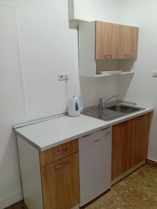 a kitchen with a sink and a counter top at Apartman Mara in Neum