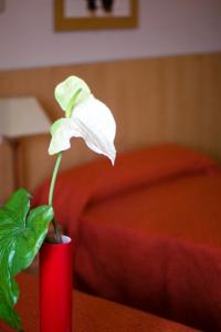 Postel nebo postele na pokoji v ubytování Hotel Las Terrazas