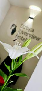 斯特鲁加Struga Riverview Hotel的相册照片