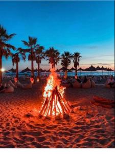 Příroda nedaleko apartmánu