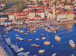 Příroda nedaleko ubytování na lodi