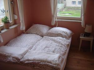 a bed with pillows in a room with a window at Fewo DD- Wilschdorf in Dresden