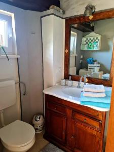 un bagno con lavandino, WC e specchio di Casa Villanova ROMANCE a Sečovlje Altre 9 foto
