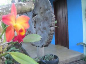 una flor en una olla junto a una rueda en Casa Mangaba, en Caraíva