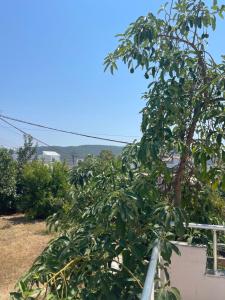 Gallery image of Vila Athina in Ksamil