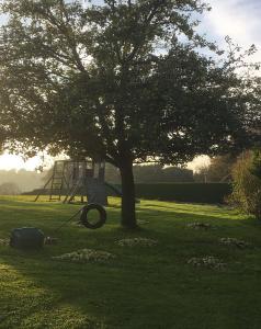 a tree with a swing and a tree at The Stable in Sourdeval