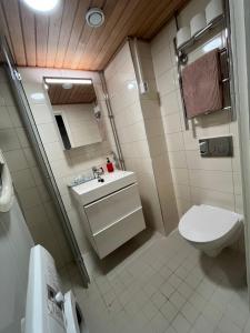 a small bathroom with a toilet and a sink at Spacious Two Room Apartment in Espoo in Espoo +17 photos