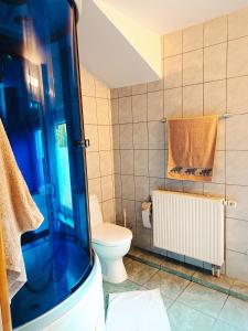 a bathroom with a toilet and a shower at 109m2 -Apartment Luiza 1- NEW Cottage in Klaipėda +19 photos