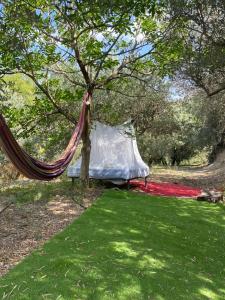 Zahrada ubytování Cortijo alhijra big yourte + 20 fotografií