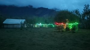 a group of lights in a field at night at Padmaling guest house zanskar eco camp in Padam