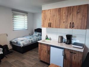 Una cocina con fregadero y una cama en una habitación. en Green Apartments, en Herbrechtingen