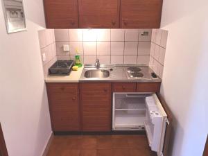 Kuchyňa alebo kuchynka v ubytovaní Apartments MOST