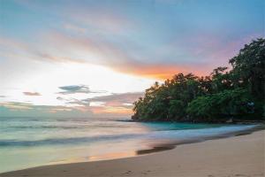 a beach with trees and the ocean at sunset at Eleven Thalalla in Talalla South