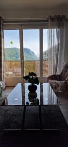 a living room with a glass table with a plant on it at Canapé lit "appartement partagé" en centre ville in Annemasse