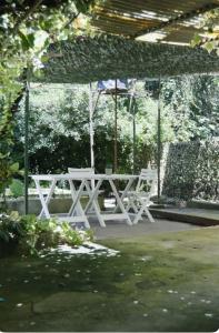 Zahrada ubytování Herceg Novi Seaside Retreat with Serene Garden