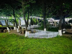 Agropensiunea La Prisaca外面的花园