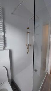a glass shower in a bathroom with a toilet at Apartament z dużym ogródkiem in Rzeszów