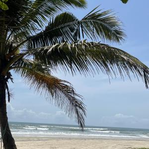 a palm tree on a beach with the ocean at The Gharaundha in Orlim