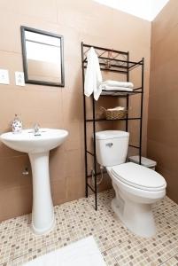 a bathroom with a toilet and a sink at D'Rosas Apartments Apto5 in Santiago