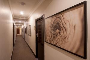 Fotografie z fotogalerie ubytování The Graham Hotel v destinaci Grahamstown