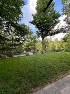 Vrt ispred objekta Forest House Divcibare