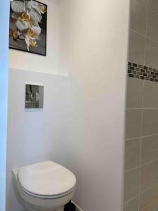 łazienka z toaletą i obrazem na ścianie w obiekcie Joli T2 avec jacuzzi w mieście Saint-Victoret