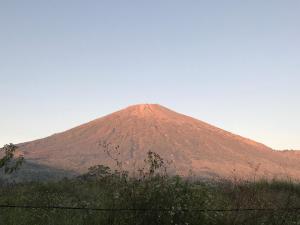 a mountain in the middle of a field at Rinjani Eger Bungalow in Sembalun Lawang +3 photos