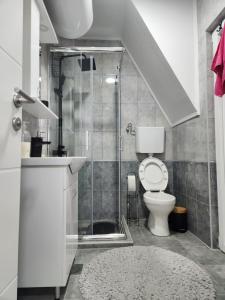 Apartman Divcibare Bela NS 56m2 Lux في ديفشيبار: حمام مع مرحاض ودش زجاجي