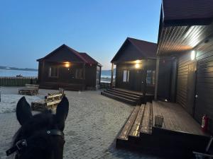 シュチュチンスクにあるLacus BOROの馬が2つの小屋を見ている