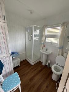 a bathroom with a shower and a toilet and a sink at 33B South Shore Village in Bridlington