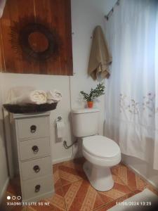 a bathroom with a toilet and a shower curtain at Cabaña VerdeNativo-Puerto Octay in Puerto Octay