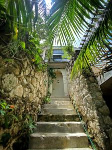 Mynd úr myndasafni af Elmar Hostel í Bacalar