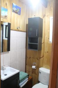 a bathroom with a toilet and a tv on the wall at Cabaña con muro de escalada in Pucón +23 photos