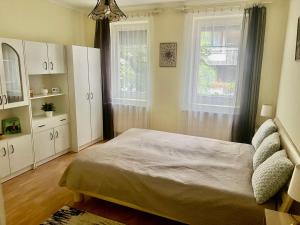 Kuchyňa alebo kuchynka v ubytovaní Rézi Apartman