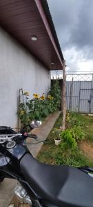 Una motocicleta estacionada al lado de un edificio con flores. en Mini departamento, en Puerto Maldonado