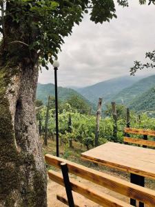 Paesaggio naturale nelle vicinanze di questo campeggio di lusso