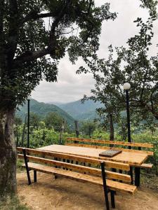 Paesaggio naturale nelle vicinanze di questo campeggio di lusso