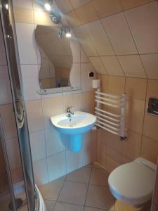 a bathroom with a sink and a toilet at Środkowa 20 in Białka Tatrzanska +57 photos