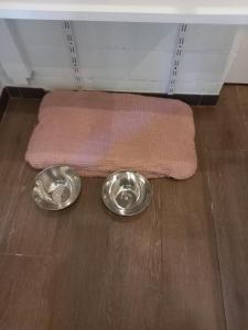 Gallery image of Studio Ceder 1 in Houthalen-Helchteren