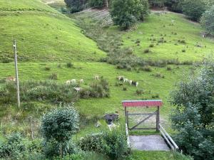 a herd of animals grazing on a grassy hill at Bauernhaus im Münstertal in Münstertal +14 photos