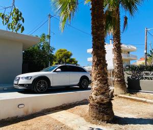 a white car parked next to a palm tree at Crystal Private Pool House in Artemida