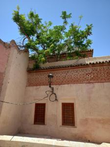 Anar amb bici a Juli's o pels voltants